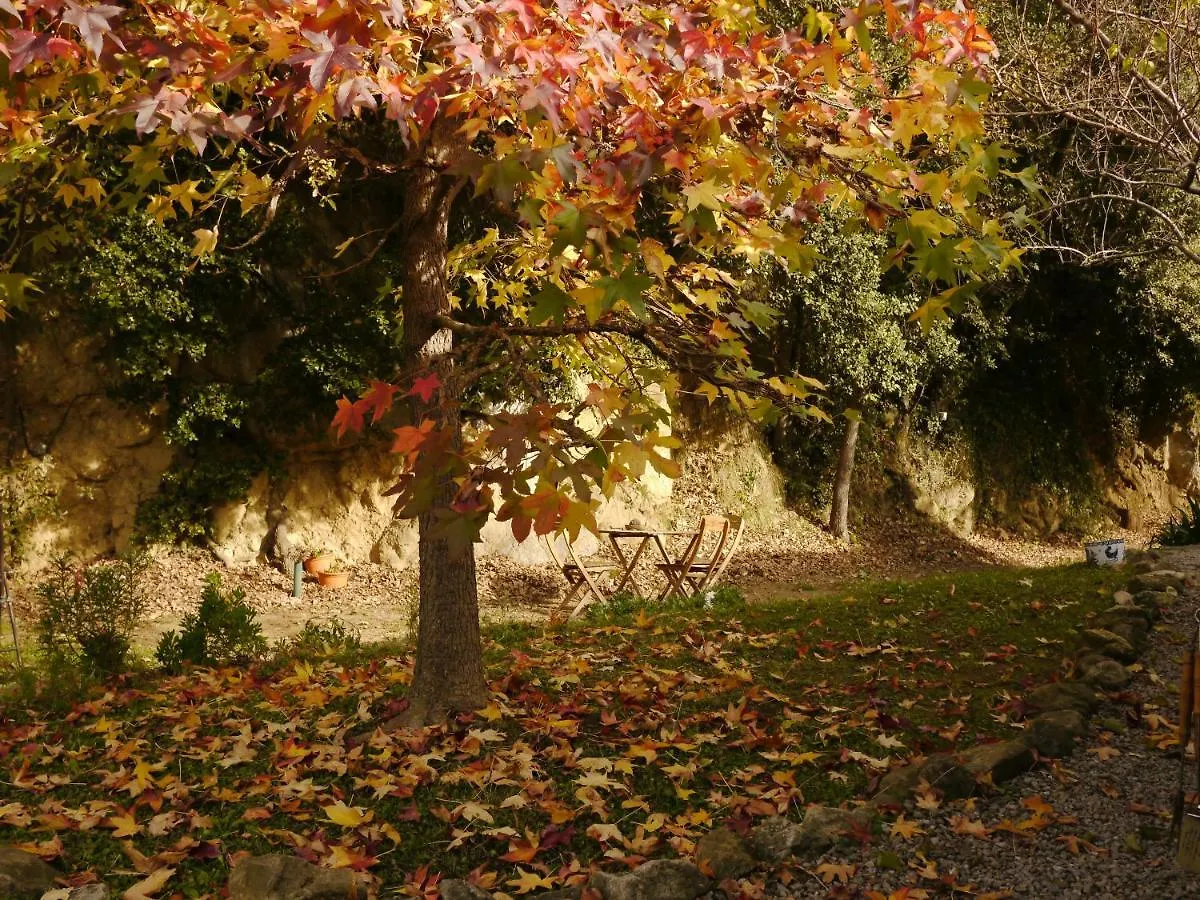 Mas Franch Lejlighed San Miguel de la Pineda 0*,  Spanien