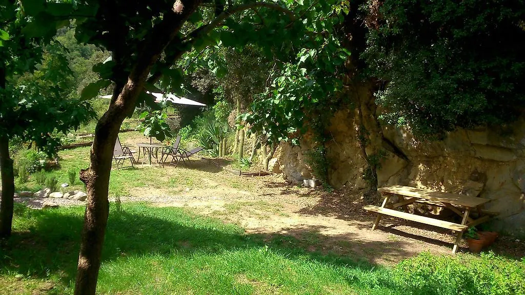 Mas Franch Apartment San Miguel de la Pineda